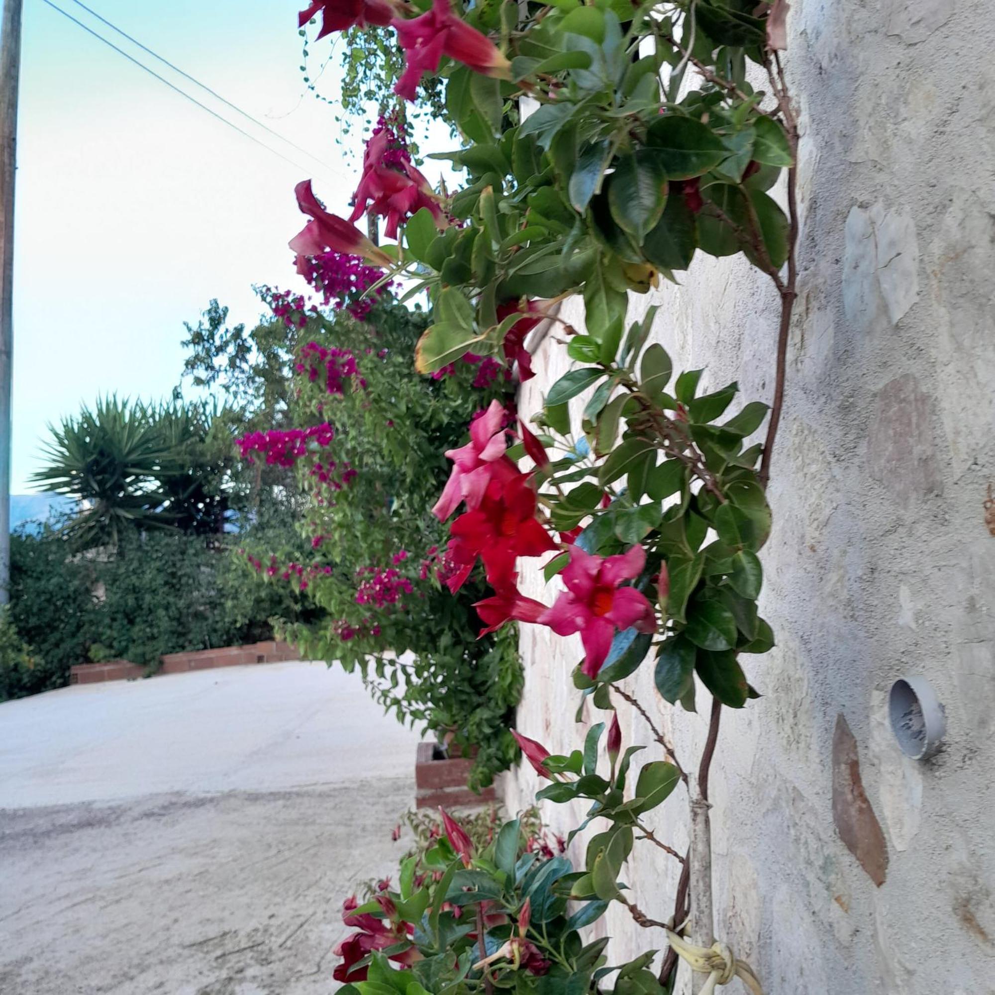 Denni'S Home Sarandë Exterior foto
